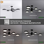 MATEO 75W 6R-ONOFF-BLACKWHITE Озон 3